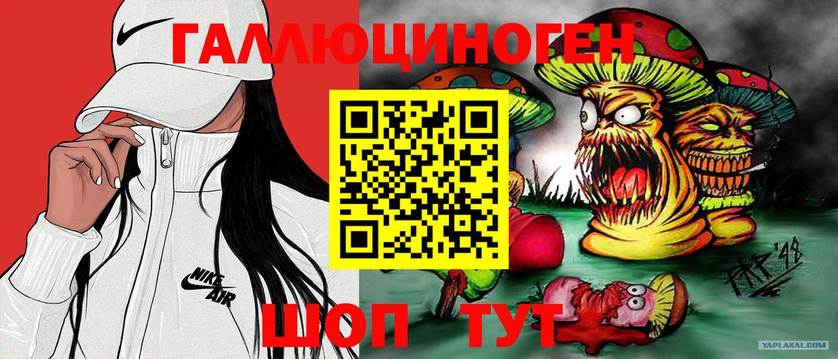 Псилоцибиновые грибы Psilocybine cubensis  Вход с VPN  Малоярославец 